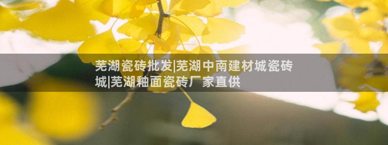 杏鑫平台怎么样黑钱吗