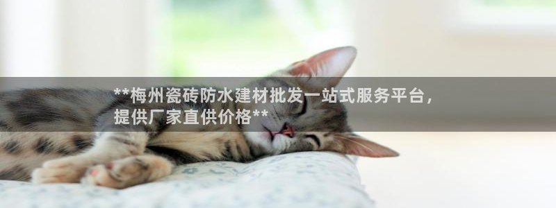 杏鑫娱乐-官方网站