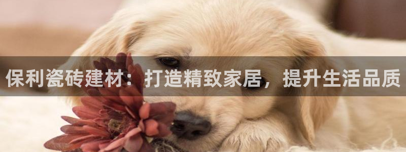 杏鑫娱乐平台登录