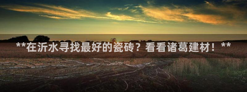 杏鑫平台代理注册登录不了怎么办呀