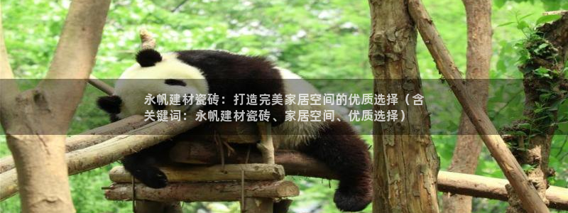 杏鑫平台登录地址查询