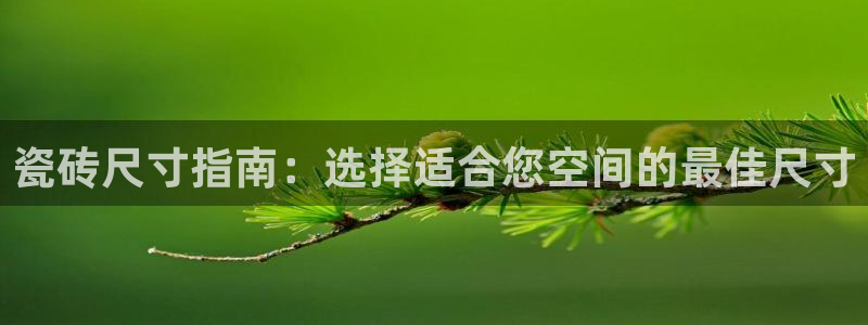 杏鑫平台招商怎么样啊
