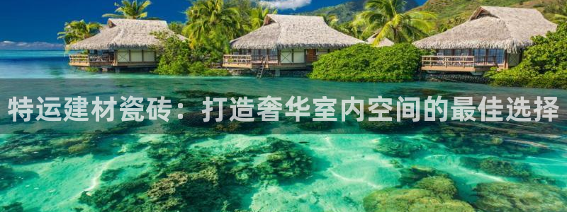 杏鑫手机客户端