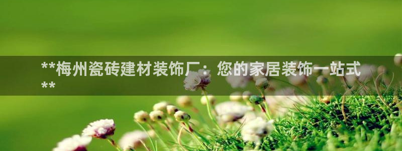 杏鑫平台招商