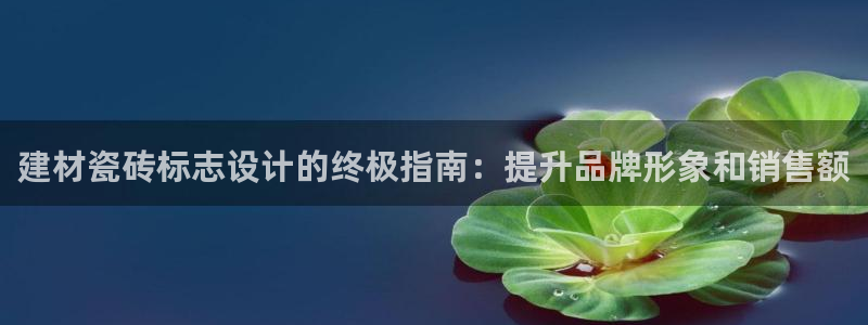 杏鑫平台代理注册流程及费用