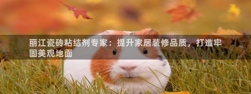 杏鑫平台招商怎么样可靠吗