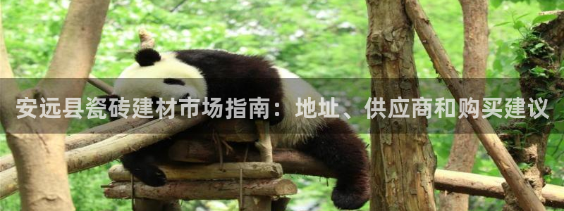 杏鑫平台登录地址是什么