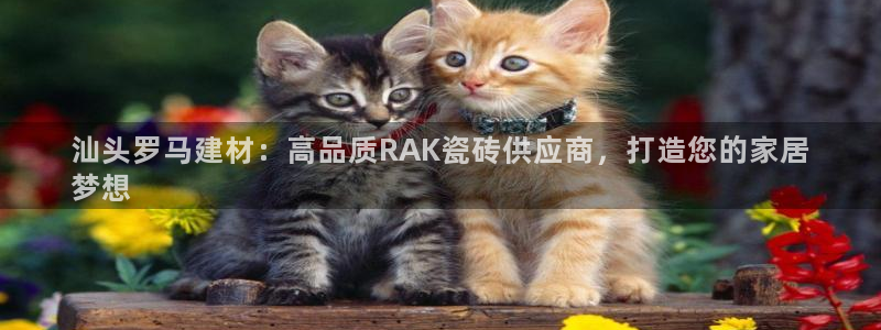 杏鑫娱乐是合法的吗?