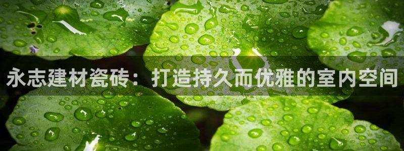 杏鑫平台怎么样黑钱吗知乎推荐