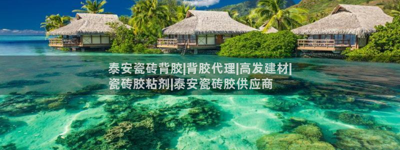 杏鑫平台代理注册多少钱一个