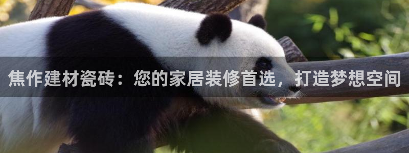 杏鑫平台怎么样黑钱吗安全吗是真的吗