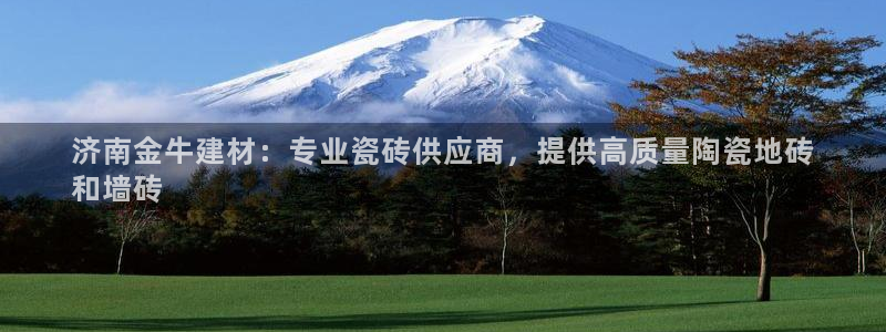 杏鑫平台代理注册流程及费用