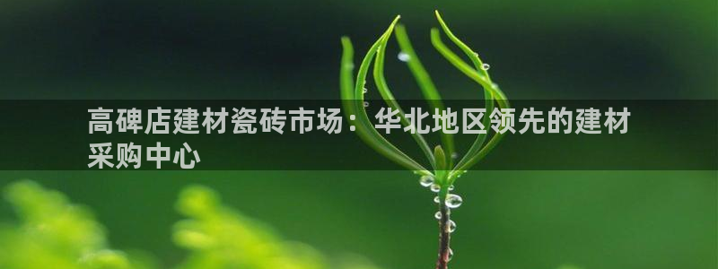 杏鑫平台招商电话号码是多少