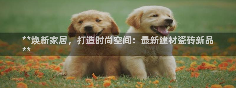 杏鑫注册登录网址是什么