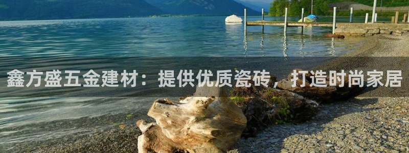 杏鑫官方平台怎么样