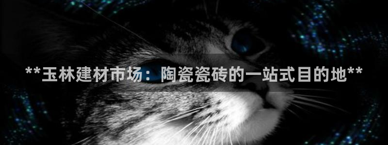 杏鑫平台线路测速