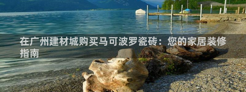 杏鑫主管