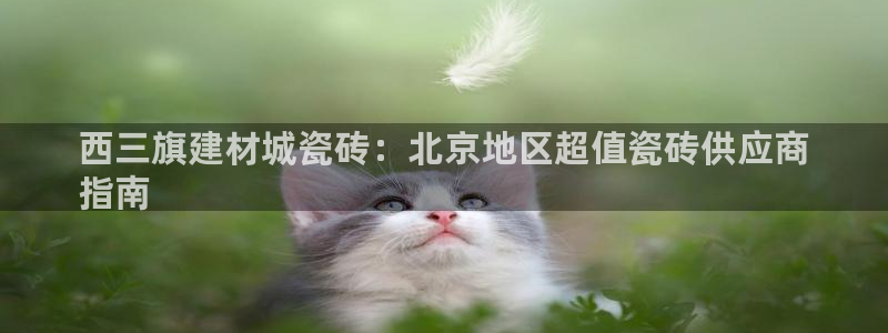 杏鑫平台正规吗