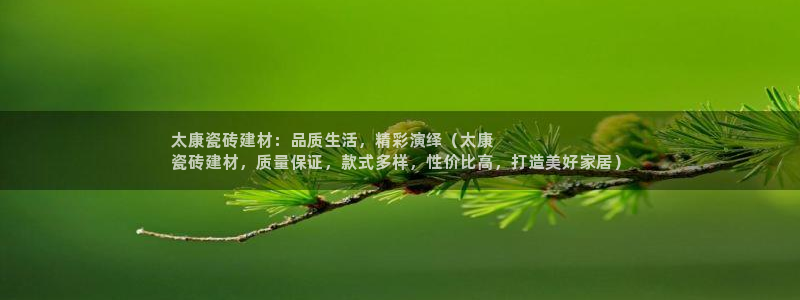 杏鑫平台代理怎么样啊