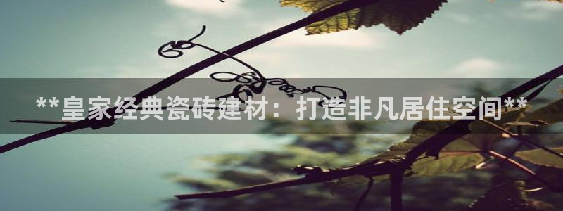 杏鑫平台是黑平台吗是真的吗