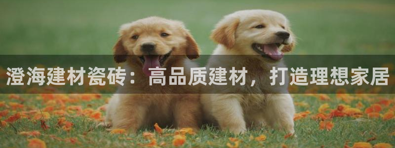 杏鑫平台怎么样黑钱吗是真的吗