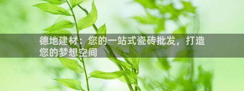 杏鑫平台怎么样