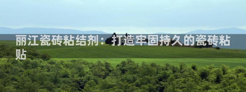 杏鑫注册平台官方网站入口