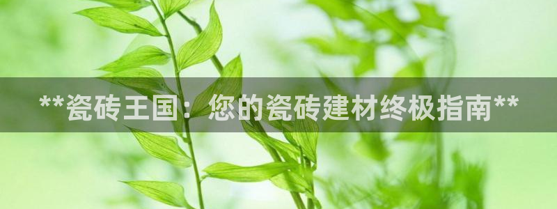杏鑫平台代理怎么样可靠吗