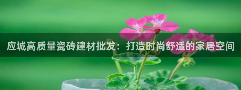 杏鑫平台招商电话号码查询