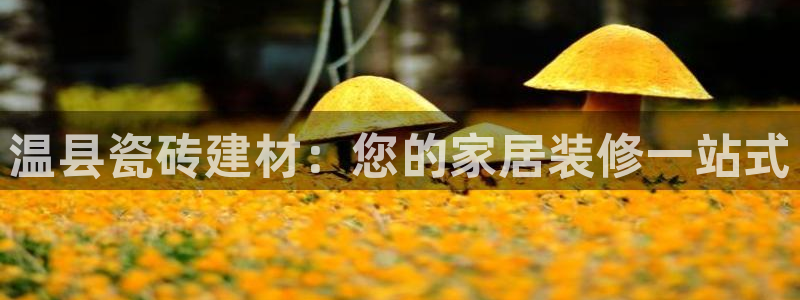 杏鑫招商总代