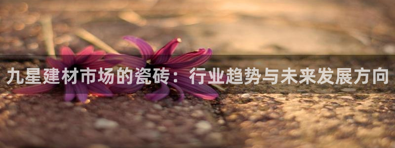 杏鑫平台代理怎么做