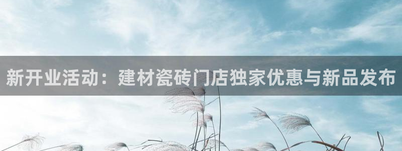 杏鑫平台招商