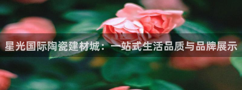 杏鑫平台怎么样