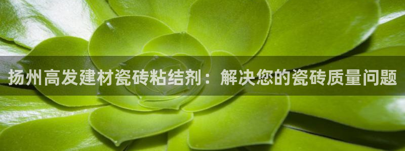 杏鑫娱乐官网下载