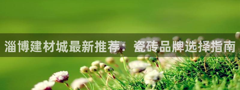 杏鑫手机客户端