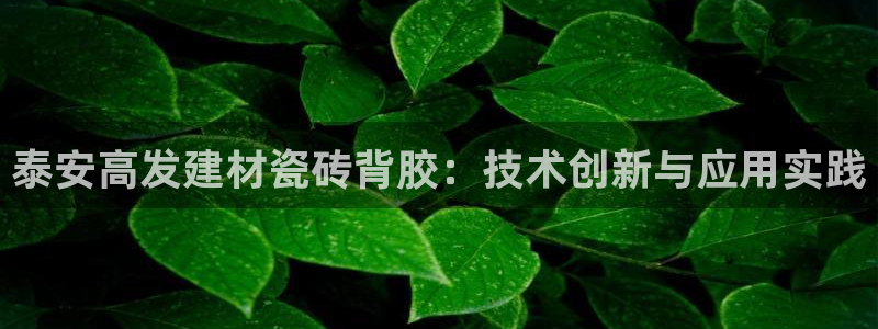 杏鑫平台平台