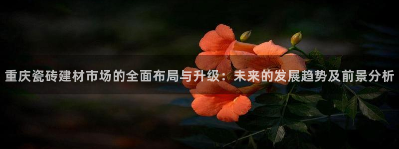 杏鑫平台代理注册流程及费用