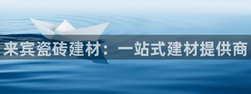 杏鑫代理注册资金多少