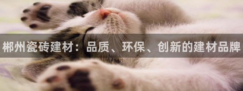 杏鑫娱乐平台登录注册网站