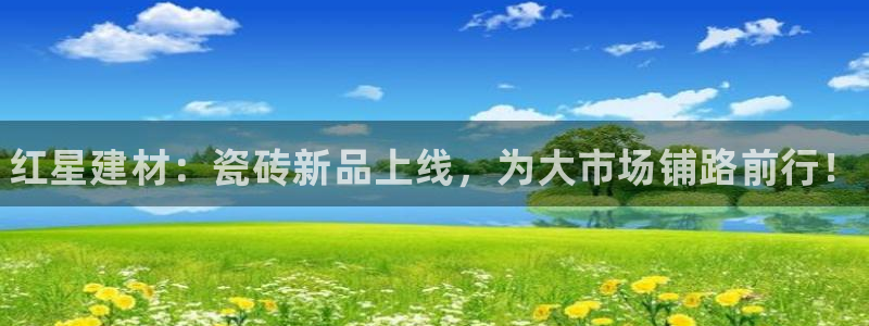 杏鑫平台注册入口在哪里找