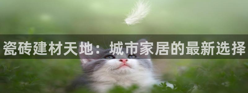 杏鑫官网注册账号是什么意思