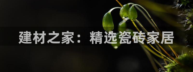 杏鑫平台怎么样黑钱吗安全吗是真的吗