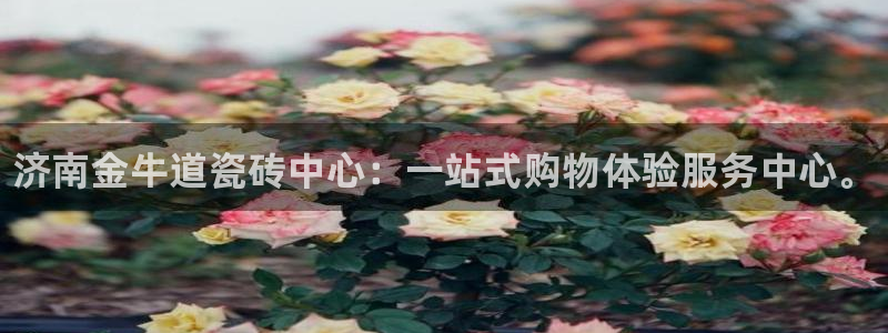 杏鑫官网最新信息新闻