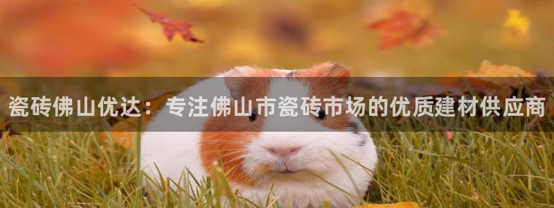 杏鑫平台登录地址