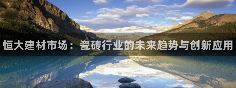 杏鑫平台代理注册流程图